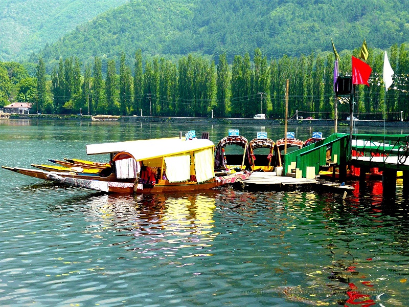 Kashmir Tour Packages